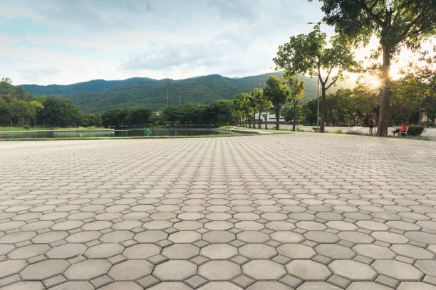 Best Residential Paver Driveway  in Grayson, CA